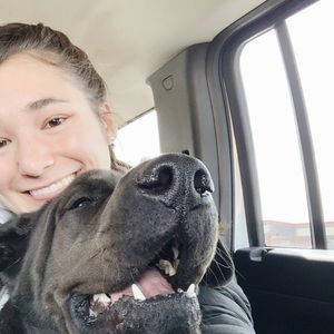 Meet your Posher, Abigail